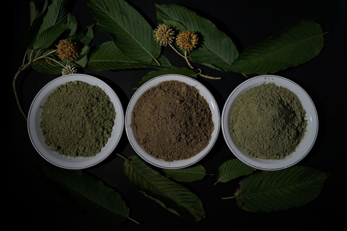 objevte výhody, účinky a bezpečnostní aspekty konzumace kratomu. zjistěte, jak kratom správně užívat a na co si dát pozor při jeho používání.