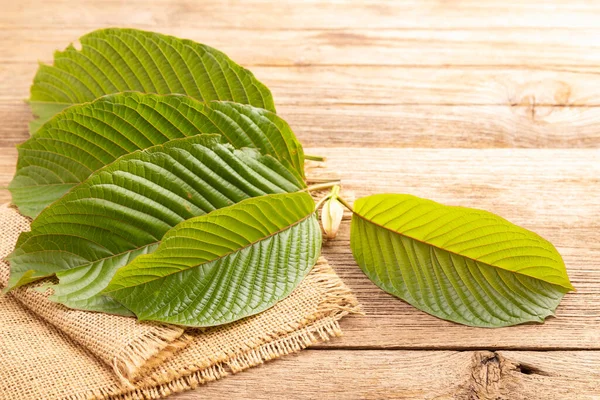 zjistěte, jak kratom ovlivňuje spánek, jaké jsou jeho účinky na nespavost a zda může pomoci se zlepšením kvality spánku. přečtěte si vše o bezpečnosti a doporučeních pro užívání kratomu před spaním.