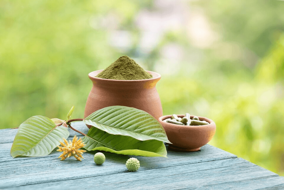 objevte účinky kratomu – jak ovlivňuje tělo i mysl, jeho přínosy, možné rizika a doporučené užívání. informace, rady a zkušenosti uživatelů na jednom místě.