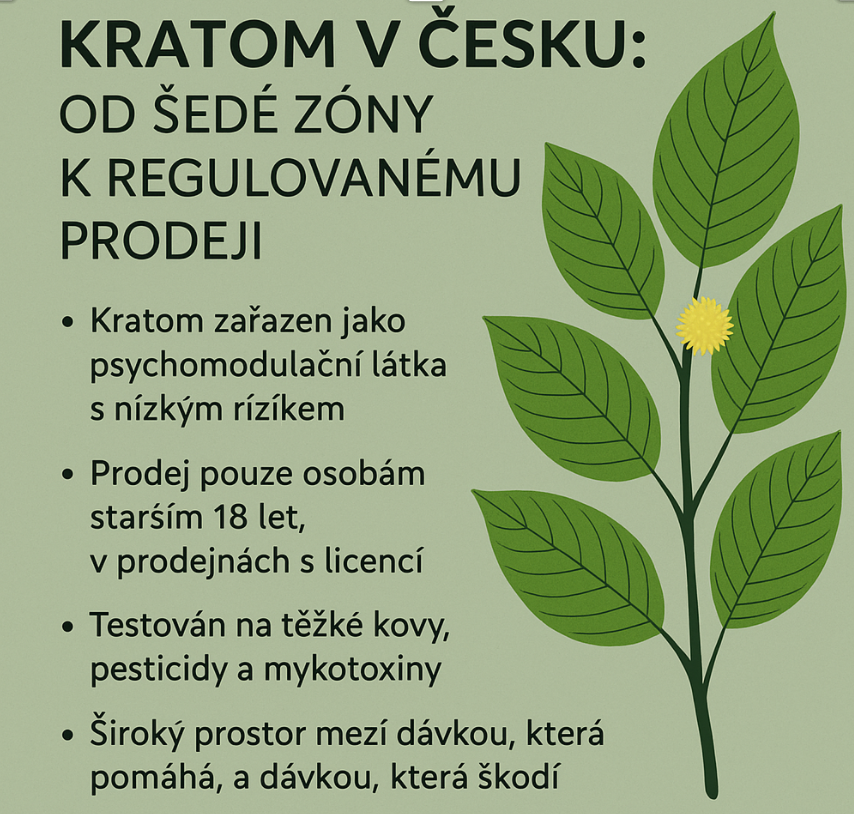 objevte odpovědi na nejčastější otázky o kratomu. zjistěte, co je kratom, jak se používá, jaké má účinky a jaká jsou jeho rizika. praktické informace pro všechny zájemce.