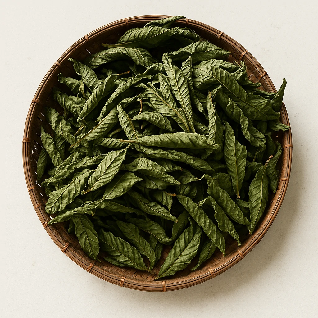 objevte původ kratomu – historie, tradiční využití a cesty, kterými se tato rostlina dostala do povědomí celého světa. zjistěte více o kratomu a jeho kořenech v jihovýchodní asii.