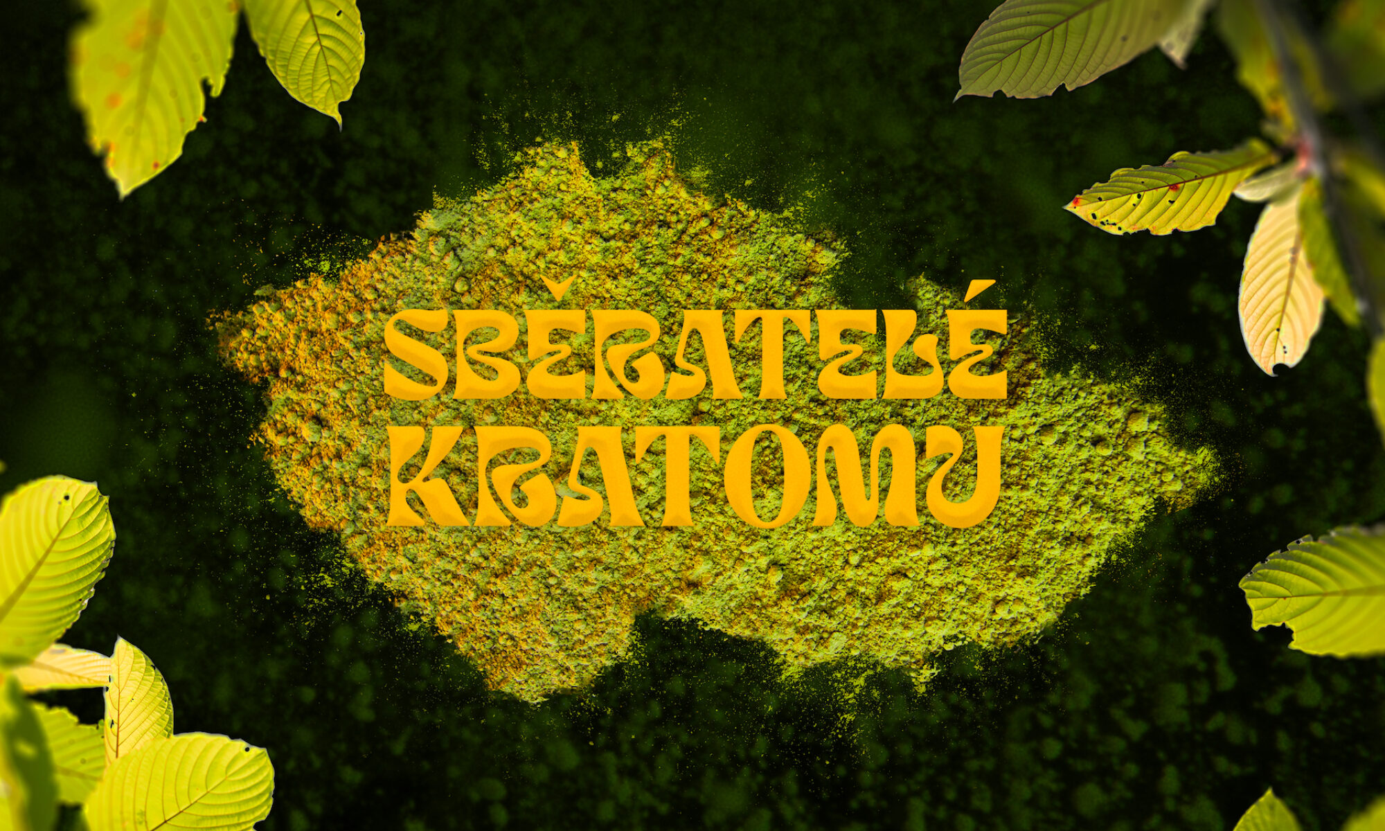 objevte hlavní rizika užívání kratomu, jeho vedlejší účinky a možná zdravotní nebezpečí. informujte se o bezpečném užívání a potenciálních důsledcích této rostliny.