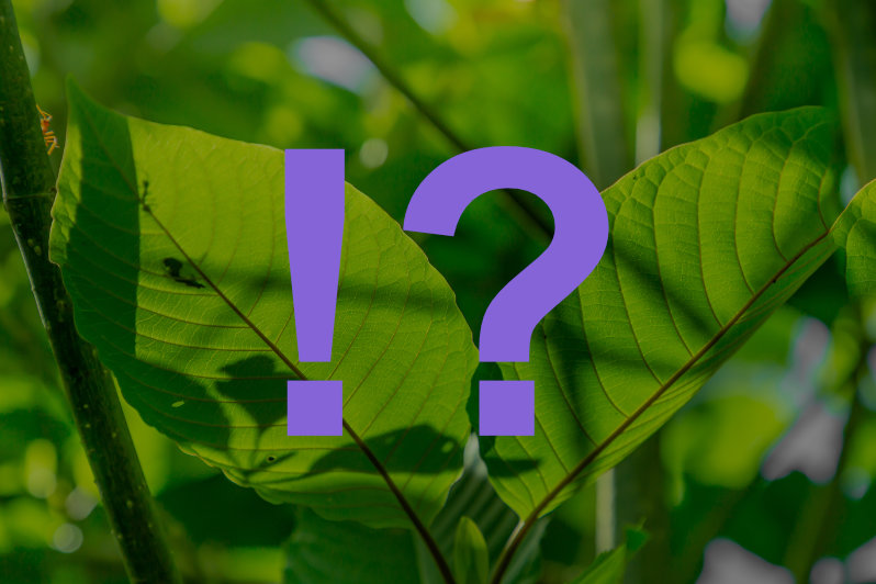 zjistěte více o vedlejších účincích kratomu, jeho možných rizicích a jak bezpečně užívat tento přírodní produkt. informace, tipy a varování na jednom místě.