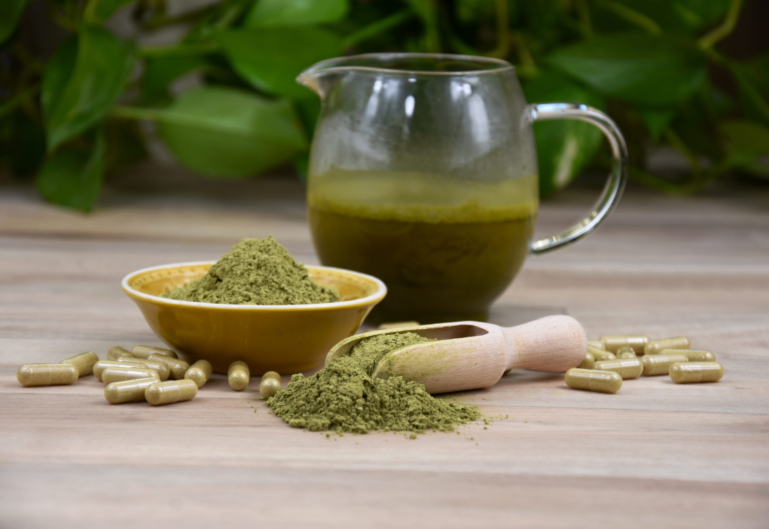 Kratom Mitragyna speciosa powder, capsule and drink stock images. Green kratom powder, capsule and beverage still life stock photo. Kratom herbal medicine stock images